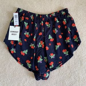 NWT Aritzia High Waisted Indigo/Red Shorts (S)